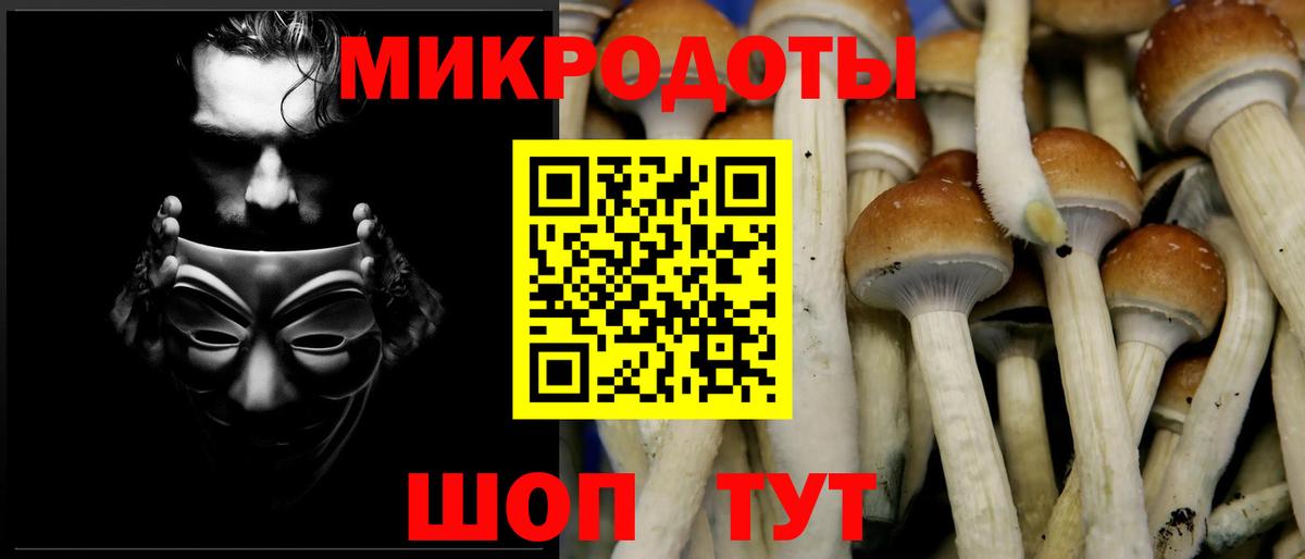 Псилоцибиновые грибы мухоморы  Вход с VPN  Советск 